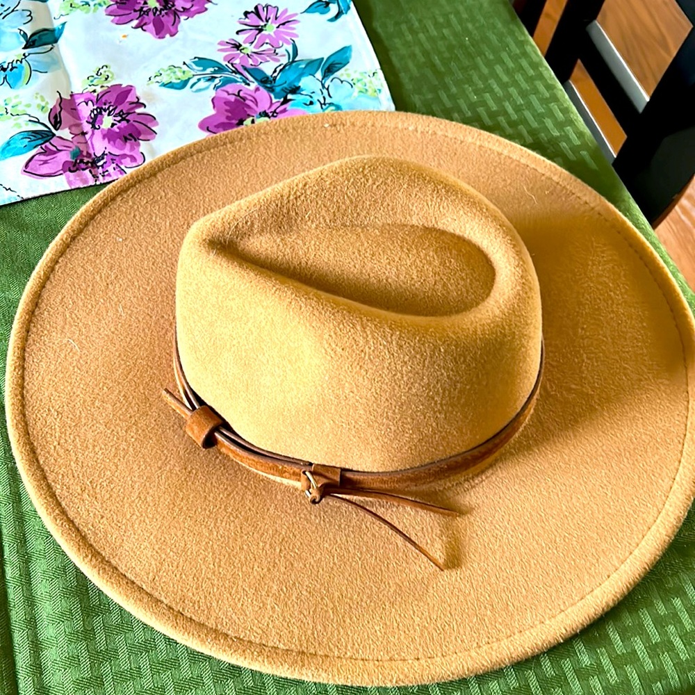 Brand new never worn hat